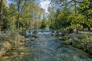 Englischer Garten 8
