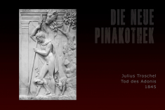 Neue-Pina-24-